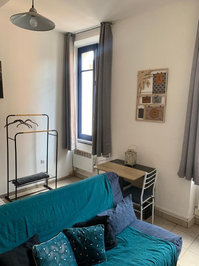 Studio En Plein Centre Каркасон Екстериор снимка